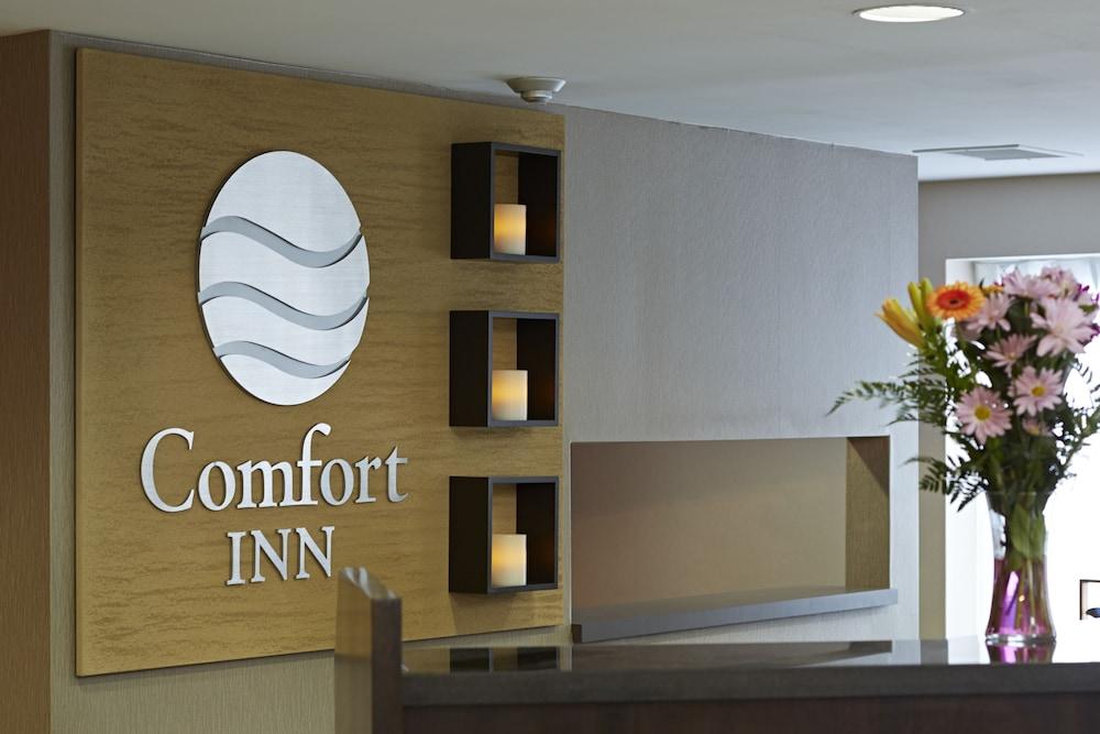 Comfort Inn Orillia Eksteriør billede